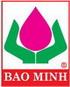 CÔNG TY BẢO MINH NAM SÀI GÒN logo