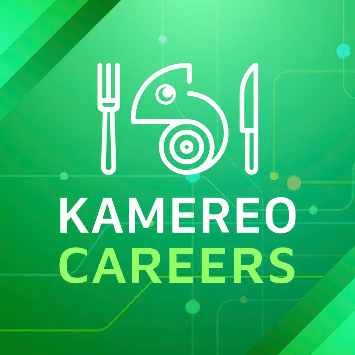 Công Ty TNHH Kamereo logo