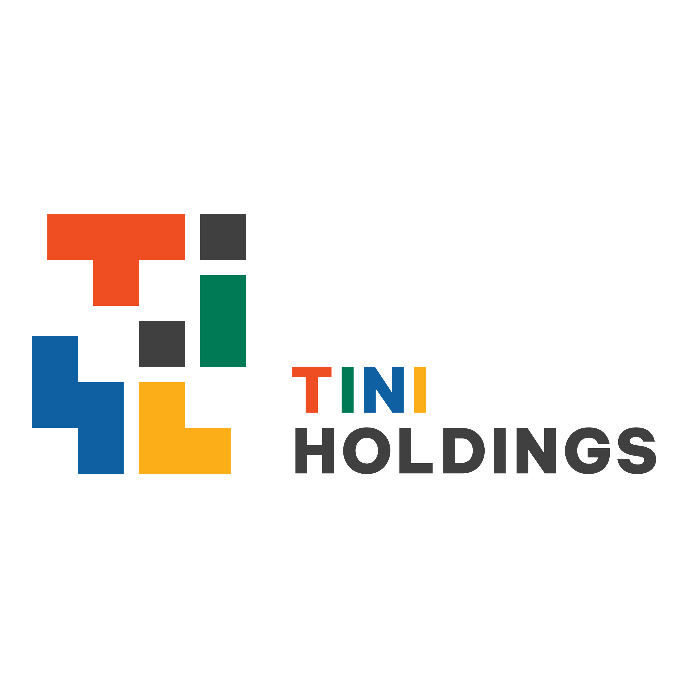 CÔNG TY CỔ PHẦN ĐẦU TƯ TINI HOLDINGS logo