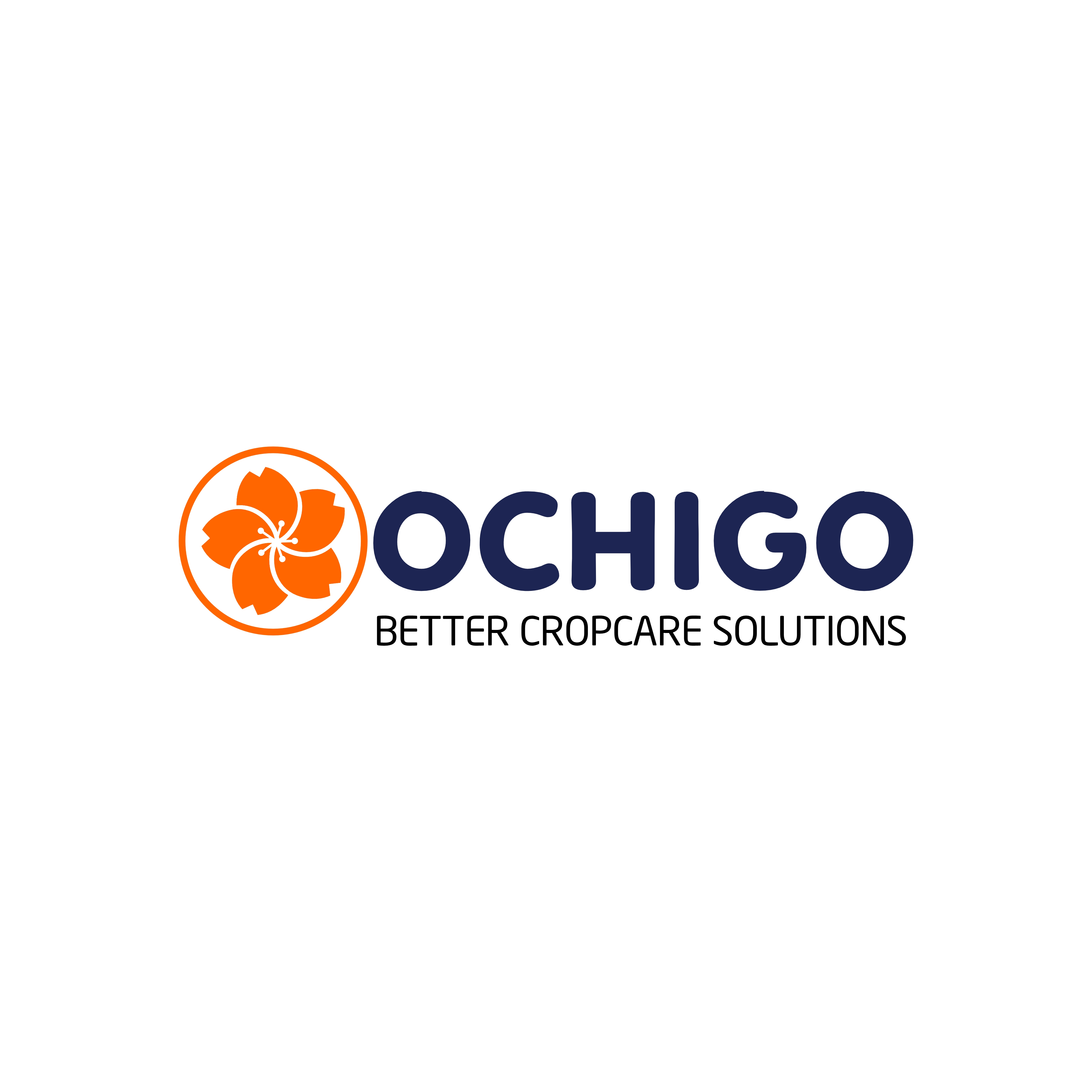 Công Ty TNHH Ochigo Việt Nam logo