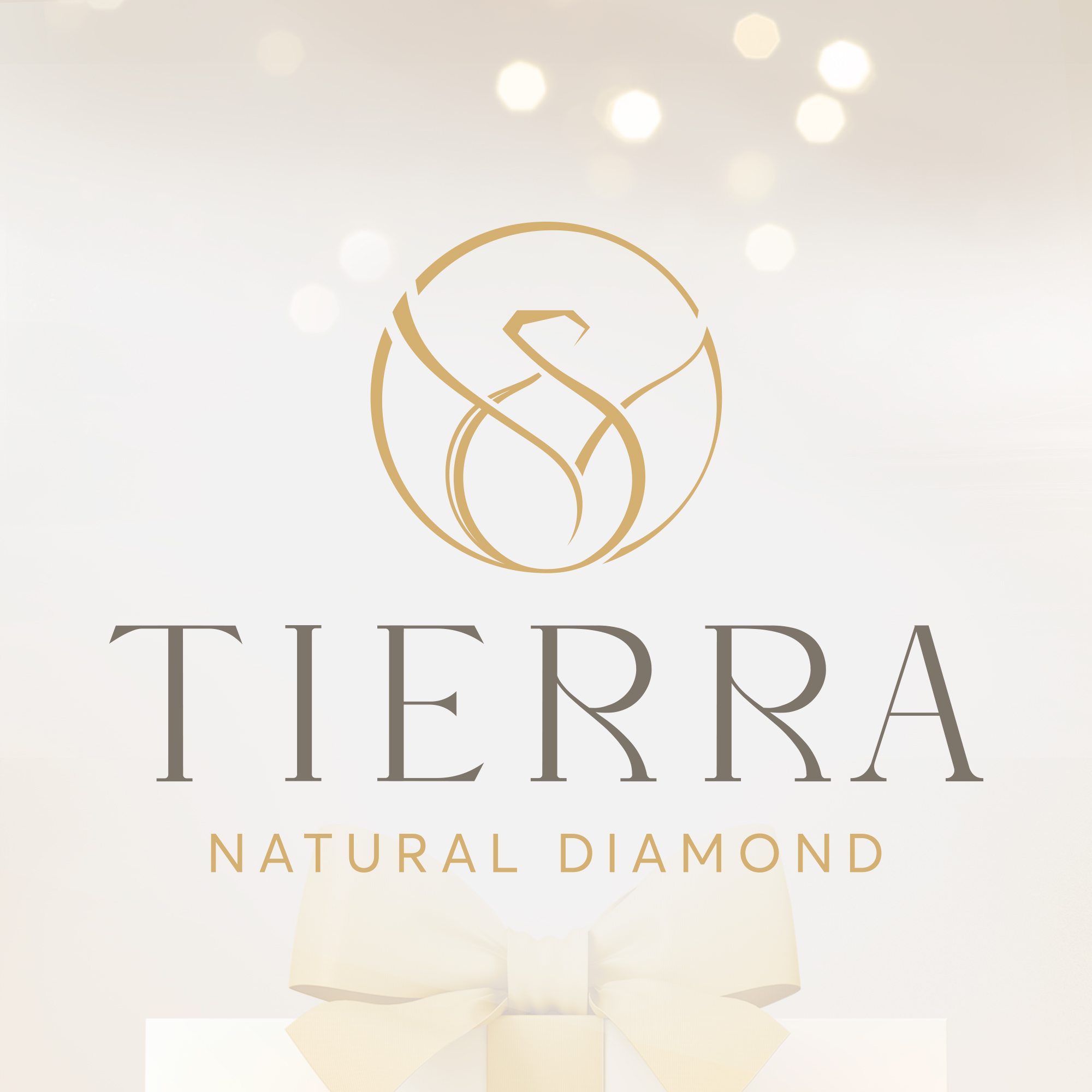 Công ty Cổ phần Tierra logo