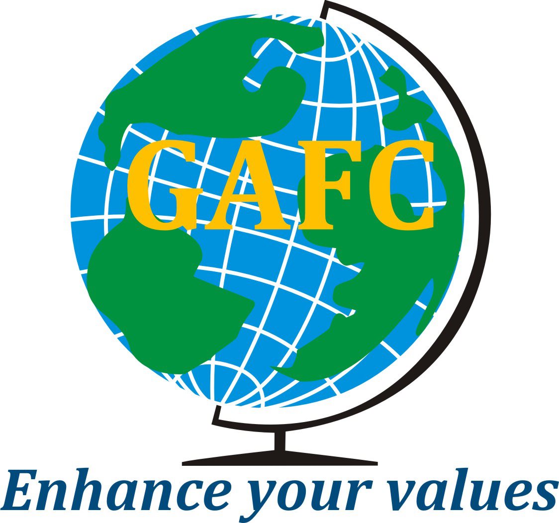 Công ty Kiểm toán và Tư Vấn Tài Chính Toàn Cầu (GAFC) logo