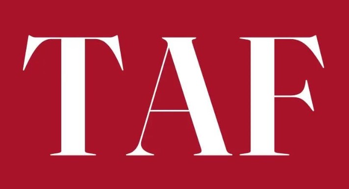 CÔNG TY TNHH TƯ VẤN KIỂM TOÁN TAF logo