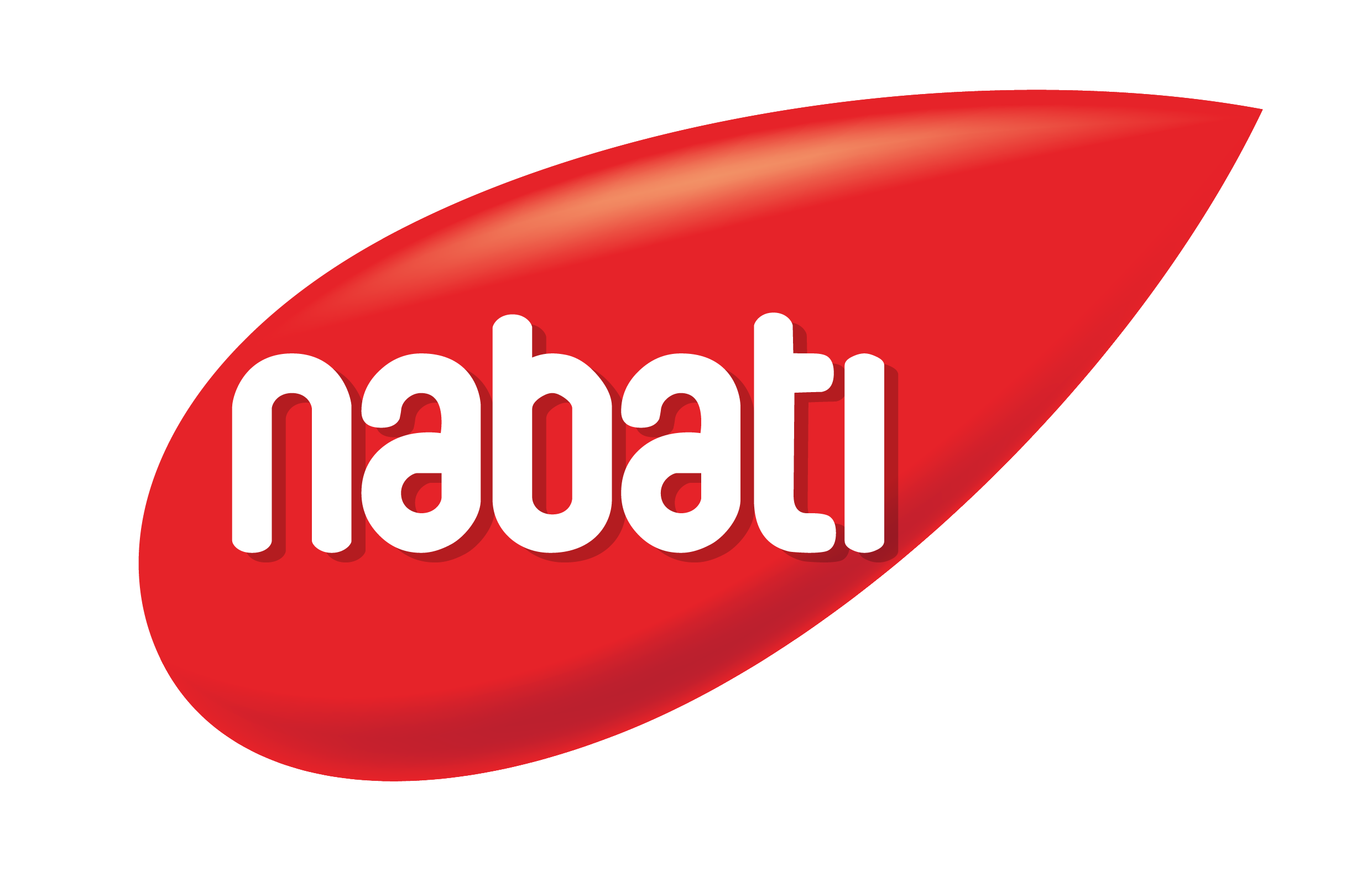 Công Ty NABATI Việt Nam logo