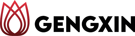 CÔNG TY TNHH GENG XIN logo