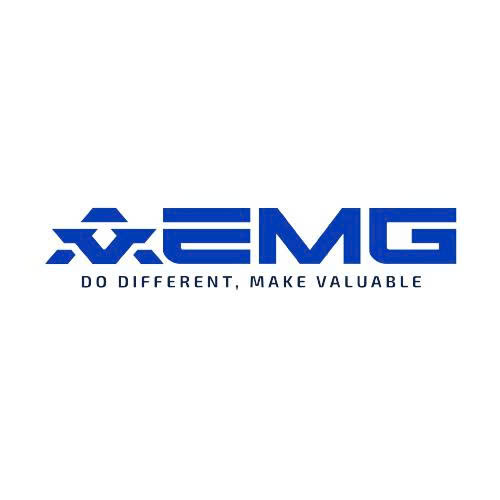 CÔNG TY CỔ PHẦN QUỐC TẾ AEMG logo
