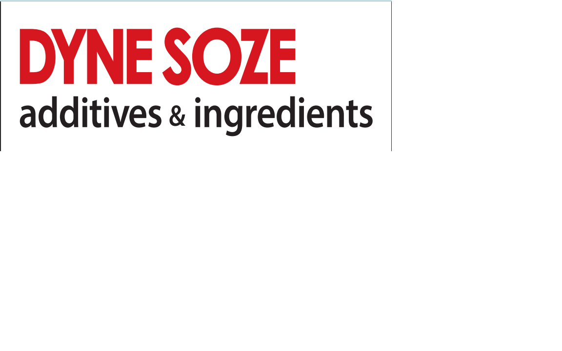 CÔNG TY TNHH DYNE SOZE VIỆT NAM logo