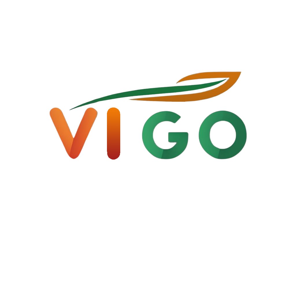 CÔNG TY TNHH THƯƠNG MẠI VÀ XUẤT NHẬP KHẨU QUỐC TẾ VIGO LOGISTICS logo