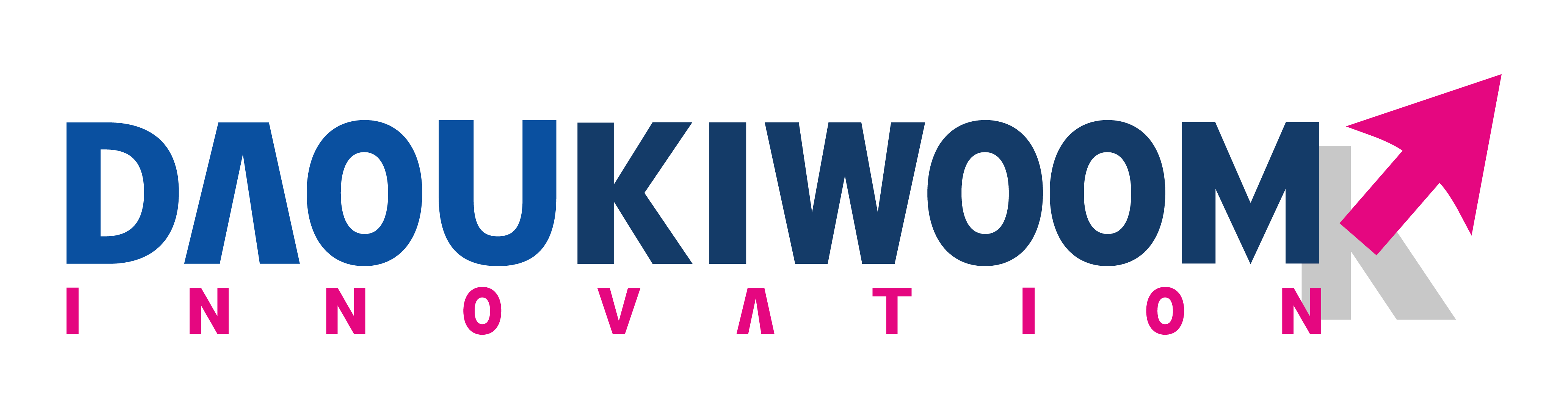DaouKiwoom Innovation logo