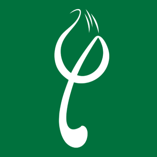 Công ty Cổ phần Nam Dược Hải Long logo
