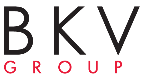 Công ty TNHH BKV Group Việt Nam logo
