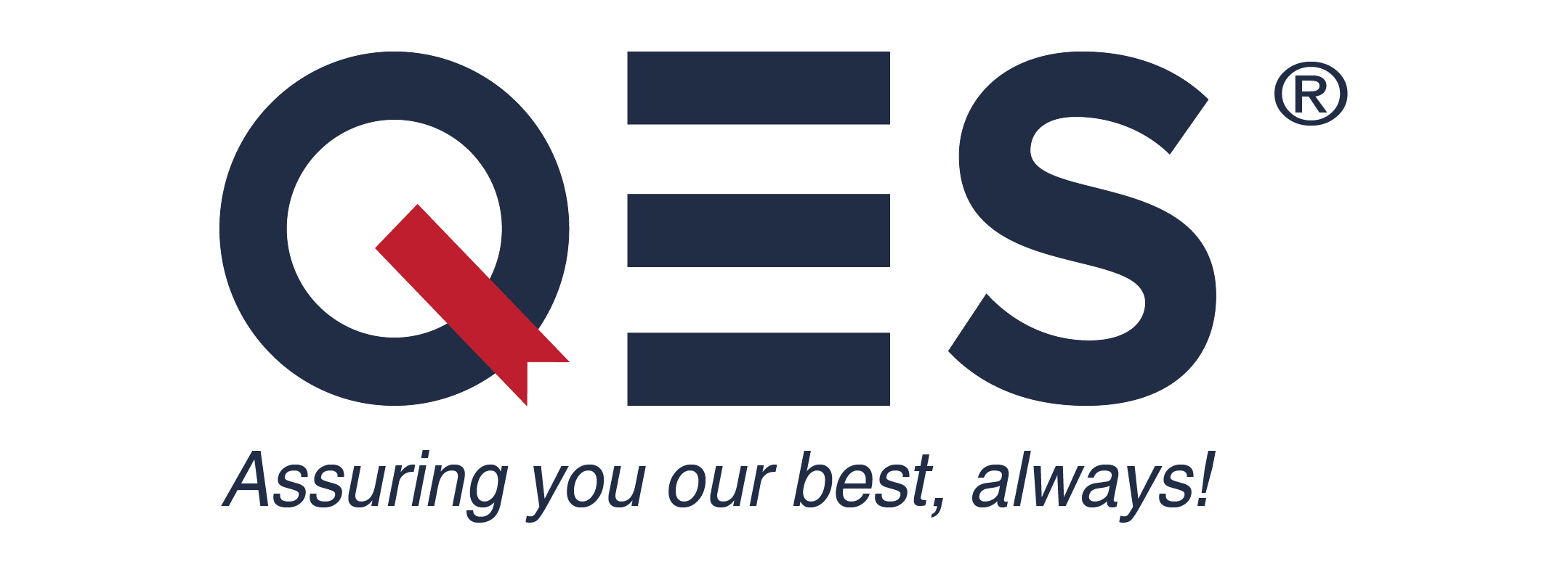 CÔNG TY TNHH QES (VIỆT NAM) logo