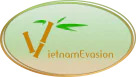 Vietnam Evasion logo