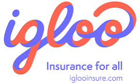 CÔNG TY TNHH IGLOO VIỆT NAM logo