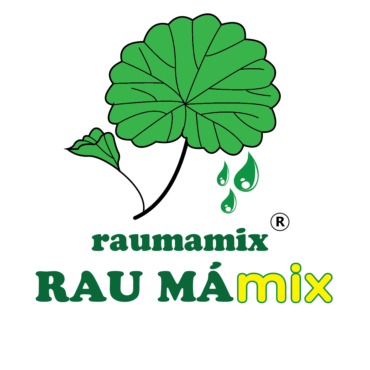 HỆ THỐNG RAU MÁ MIX logo