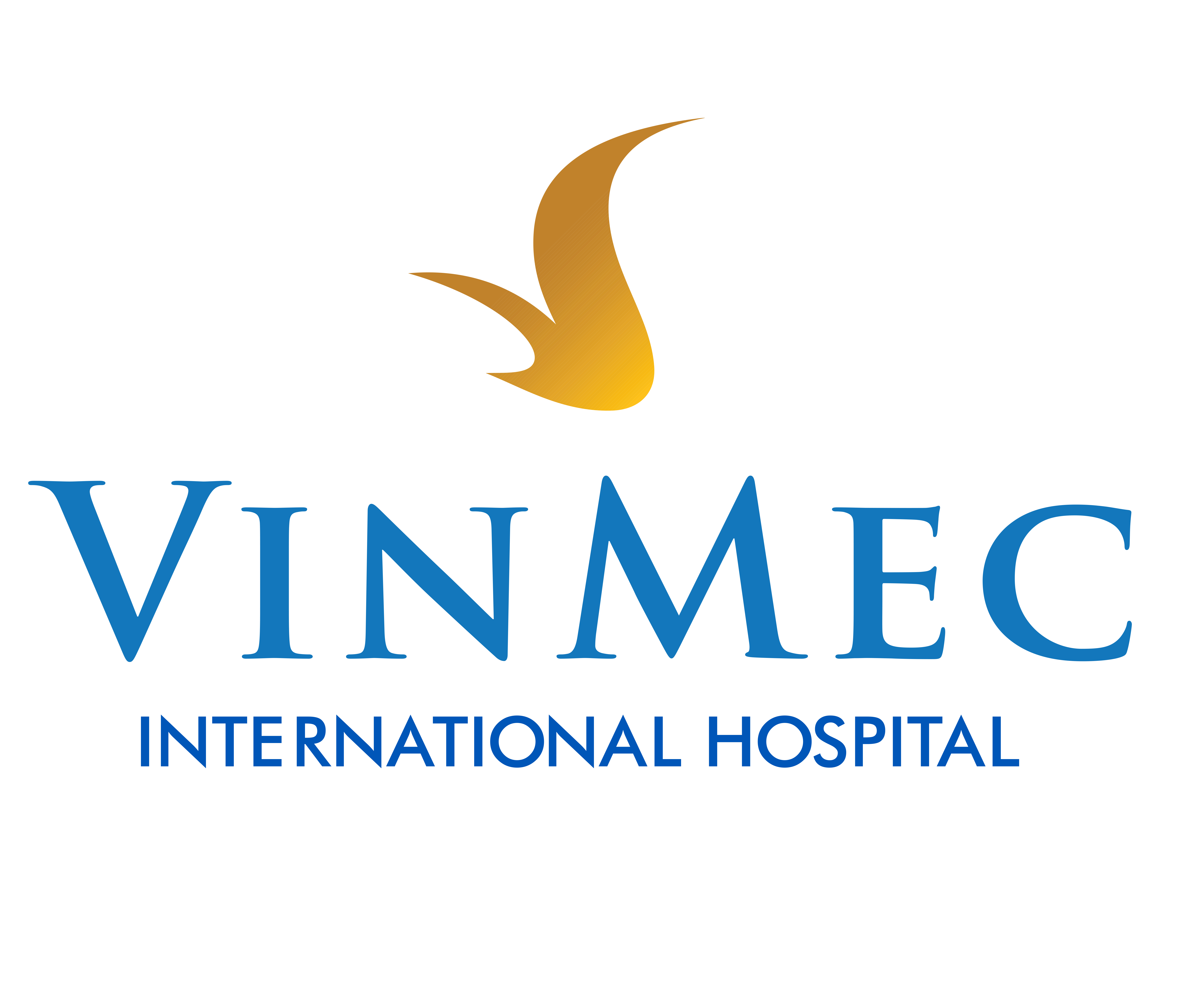 CHI NHÁNH CÔNG TY CP BỆNH VIÊN ĐA KHOA QUỐC TẾ VINMEC – BỆNH VIỆN ĐA KHOA QUỐC TẾ VINMEC CENTRAL PARK logo
