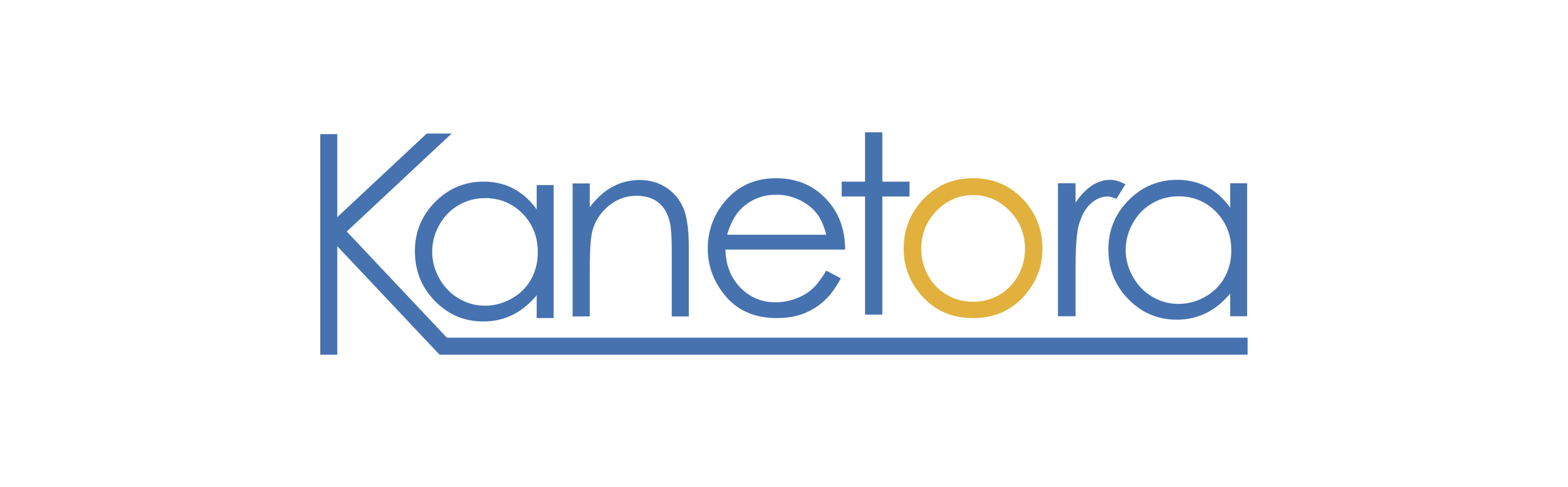 CÔNG TY CỔ PHẦN KANETORA logo