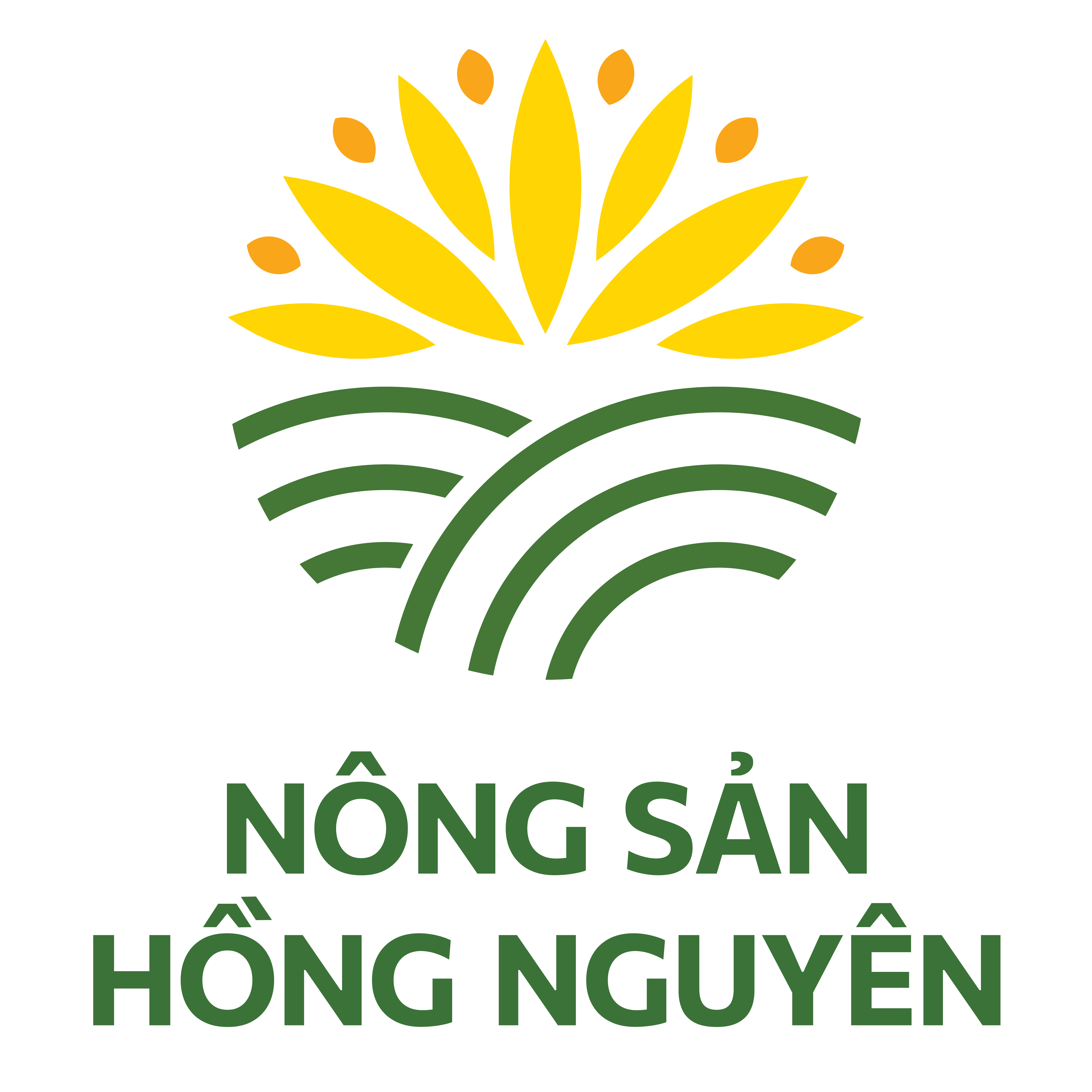 CÔNG TY TNHH NÔNG SẢN HỒNG NGUYÊN logo