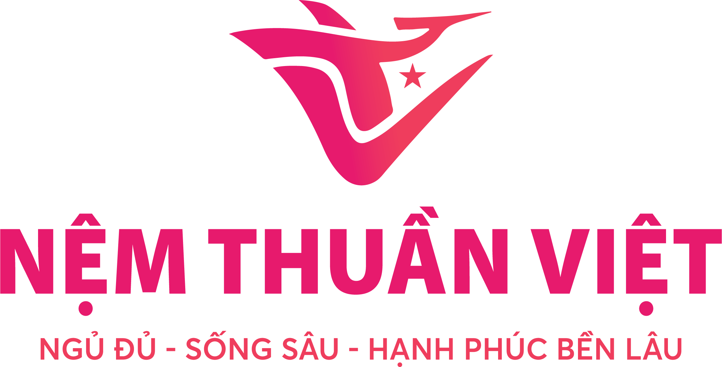 CÔNG TY CỔ PHẦN NỆM THUẦN VIỆT logo