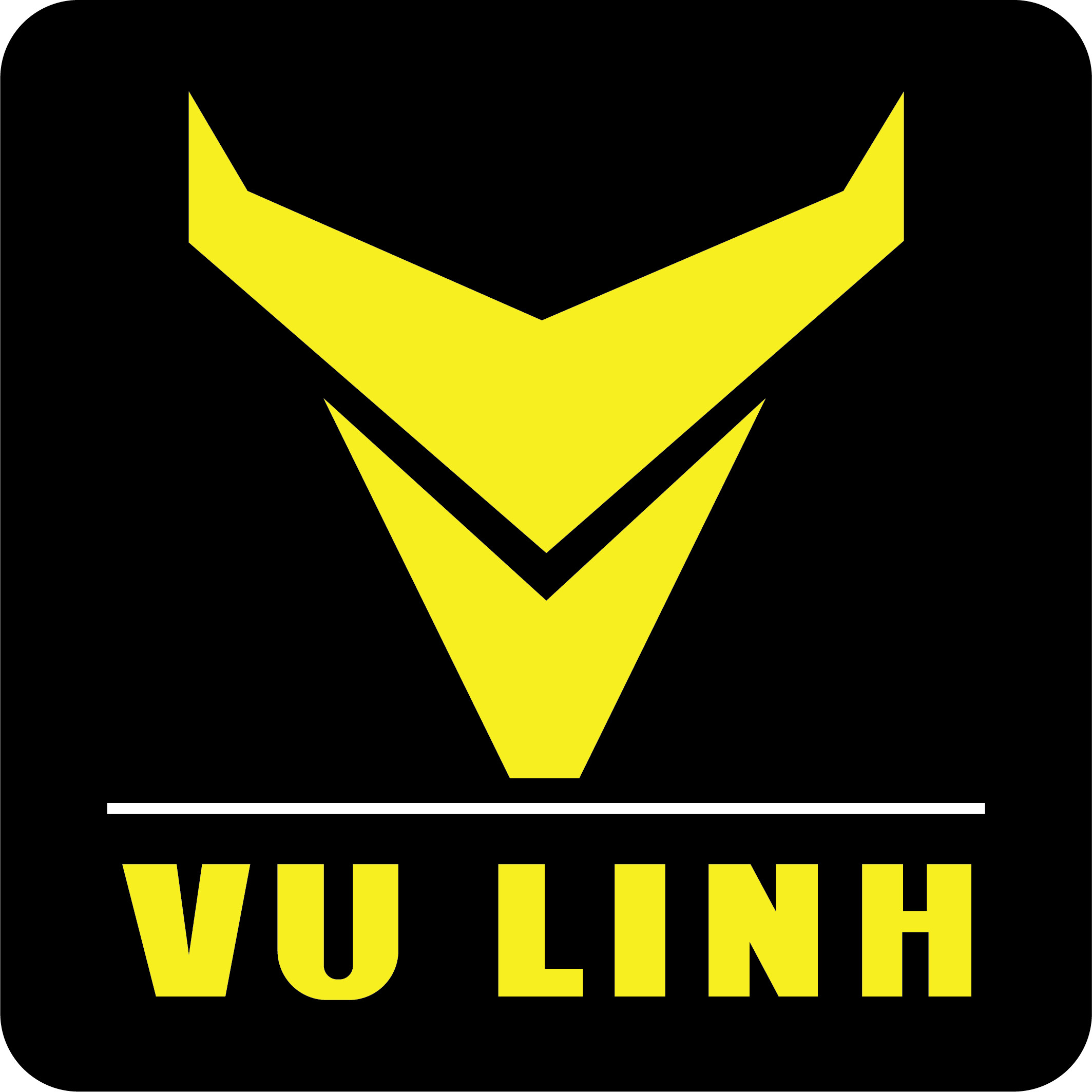 Công ty CP ô tô Vũ Linh logo